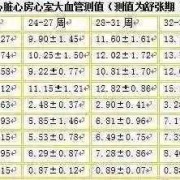 24周胎儿发育标准数据表（24周胎儿鼻骨正常值是多少）
