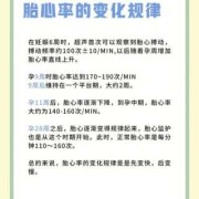 胎儿心率多少是正常（孕妇宝宝在肚子里心率多少算正常的啊）