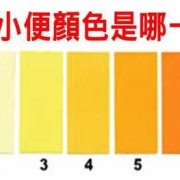 怀孕期尿黄正常吗（怀孕期尿黄正常吗）