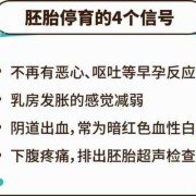胎儿停育怎么办（胎儿停育原因有哪些）