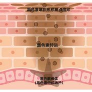 怀孕时的黑色素多久可以消,孕期黑色素什么时候能褪掉