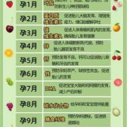 胎儿补充营养（胎儿补充营养）