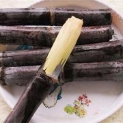 孕期能吃甘蔗吗（怀孕能不能吃甘蔗）