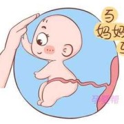 孕30周的胎儿能存活吗（孕30周的胎儿能存活吗）
