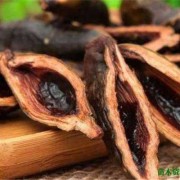 备孕期间可以吃槟榔吗（备孕期间可以吃槟榔吗男性）