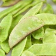 孕期可以吃扁豆吗（孕妇能吃扁豆吗？差不多怀孕两个月了，早期有什么饮食禁忌的呢）