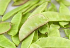 孕期可以吃扁豆吗（孕妇能吃扁豆吗？差不多怀孕两个月了，早期有什么饮食禁忌的呢）
