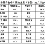 怀孕初期叶酸摄入量,孕期叶酸量吃多了会怎么样
