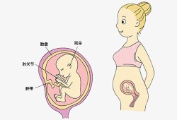 胎儿面对妈妈图片（胎儿面对妈妈图片）