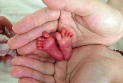 29周宝宝在肚子里的样子,怀孕29周胎儿图片真人