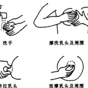 孕期奶头护理（孕期奶头护理怎么做）