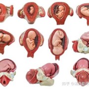 怀孕36周胎儿入盆图（怀孕36周胎儿入盆图片）