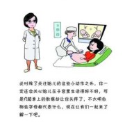 fl是指胎儿的什么（FL什么意思）