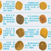 6个月宝宝大便有奶瓣是怎么回事？有奶瓣该怎么缓解,6个半月的胎儿有多重了