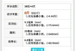 孕期胎儿体重计算器（什么是体积重量?如何计算）