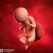 30周胎儿位置（30周肚子有多大）
