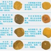 七个月宝宝大便正常状态,胎儿会大便吗图片