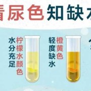 孕期尿液很黄是怎么回事,孕期脸色暗黄怎么回事儿