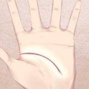 男女掌纹一样是什么意思,妊娠纹与胎儿性别吗有关系吗