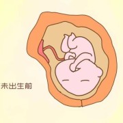 胎儿算自然人吗,胎儿是不是自然人