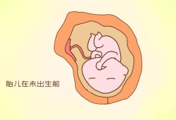 胎儿算自然人吗,胎儿是不是自然人