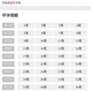 孕周如何计算,如何计算胎儿周期天数