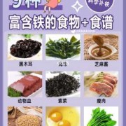 孕期含铁的食物有哪些（孕期含铁的食物有哪些食物）