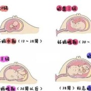 如何知道胎儿是否健康（如何知道胎儿是否健康）