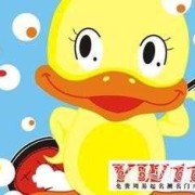 孕期梦见鸭子（孕期梦见鸭子）
