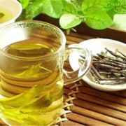 孕期可以喝苦丁茶吗（孕期可以喝苦丁茶吗?）