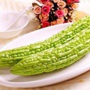 怀孕期能吃苦瓜吗（怀孕期能吃苦瓜吗）