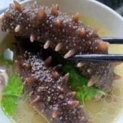 孕期吃海参好处和坏处（孕妇一天一个海参可以吗）