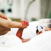 30周胎儿早产可存活吗（30周胎儿早产可存活吗）