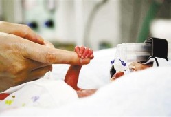 30周胎儿早产可存活吗（30周胎儿早产可存活吗）