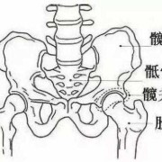 孕期髋骨（孕期髋骨疼是怎么回事）