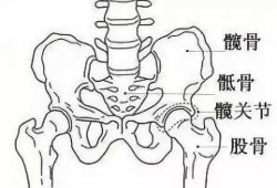 孕期髋骨（孕期髋骨疼是怎么回事）