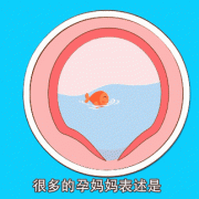 五个月胎儿胎动（怀孕五个月胎动会是什么感觉）