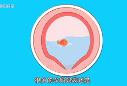 五个月胎儿胎动（怀孕五个月胎动会是什么感觉）
