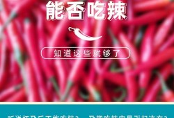 怀孕期间能吃辣椒吗（孕妇偶尔吃辣的东西可以吗？会有什么后果吗）