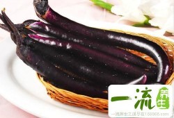 怀孕期间可以吃茄子吗（怀孕期间可以吃茄子吗早期）