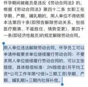 孕期被裁员（孕期被裁员劳动仲裁会赔偿多少）