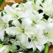 孕期家里可以摆放鲜花吗,孕期梦到花什么预兆