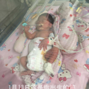 7个月胎儿图片（七个月的宝宝只想摇摇晃晃地站着，也不愿意坐下，正常吗）