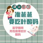 备孕男的要吃叶酸吗,叶酸是两人都吃还是一人吃