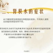 怀孕期间肾积水怎么办（怀孕期间肾积水怎么办呢）