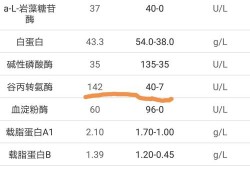 孕期转氨酶高怎么调理（孕妇肝功能转氨酶偏高是什么原因造成的）
