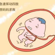 胎儿听歌（胎儿听歌胎动频繁）