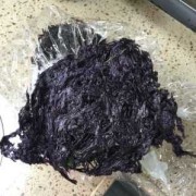 紫菜什么人不适合吃,孕期可以吃紫菜吗早期