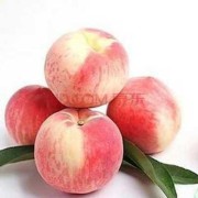 孕期 桃子（孕期桃子可以吃吗?）