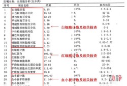 孕妇血常规白细胞高的原因是什么？怎么办,孕期血常规白细胞偏高是什么原因